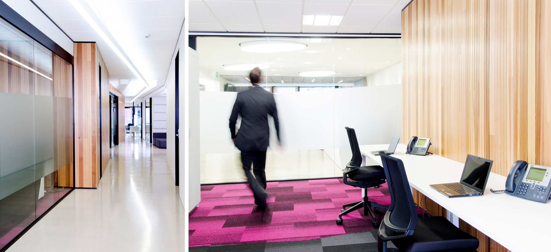 Sony Office, Auckland
