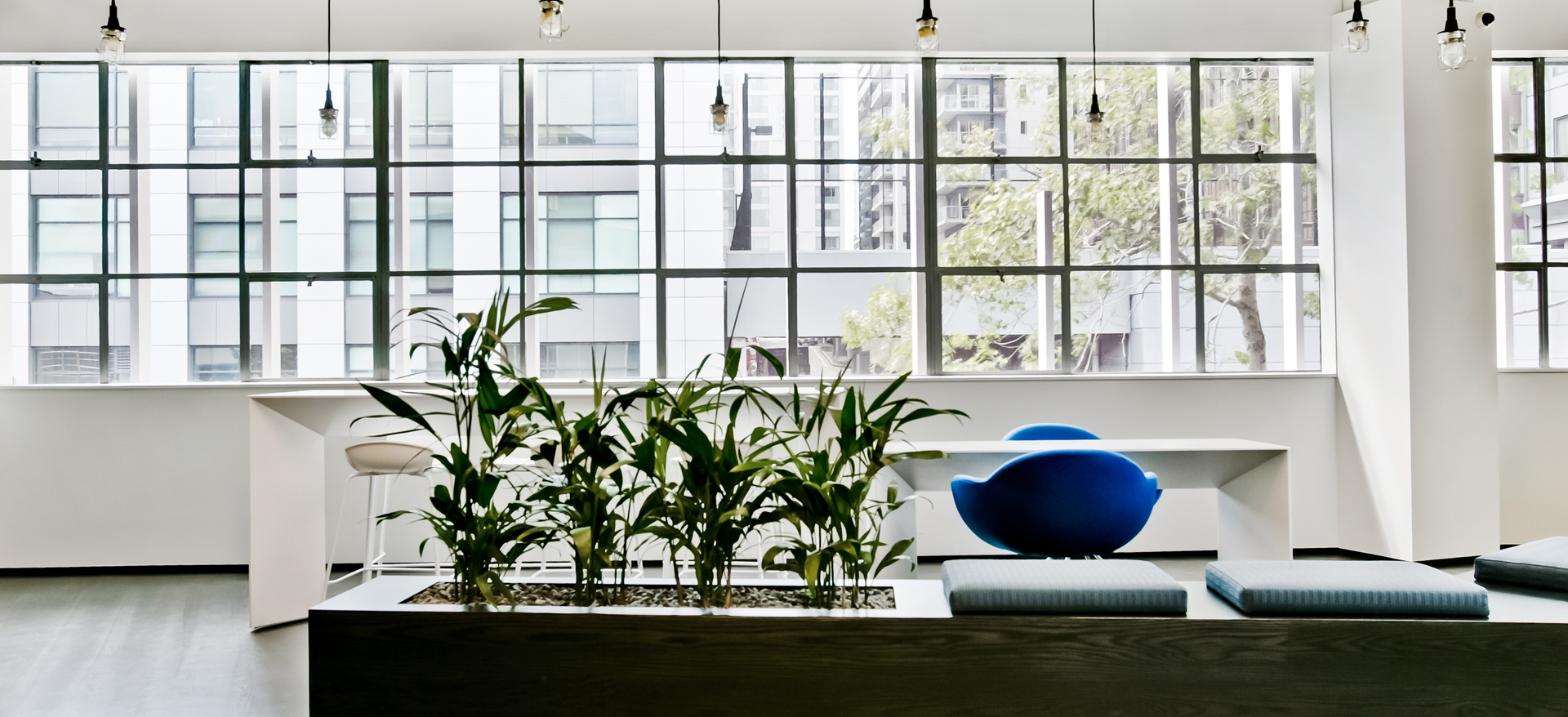 Cosco Head Office, Auckland