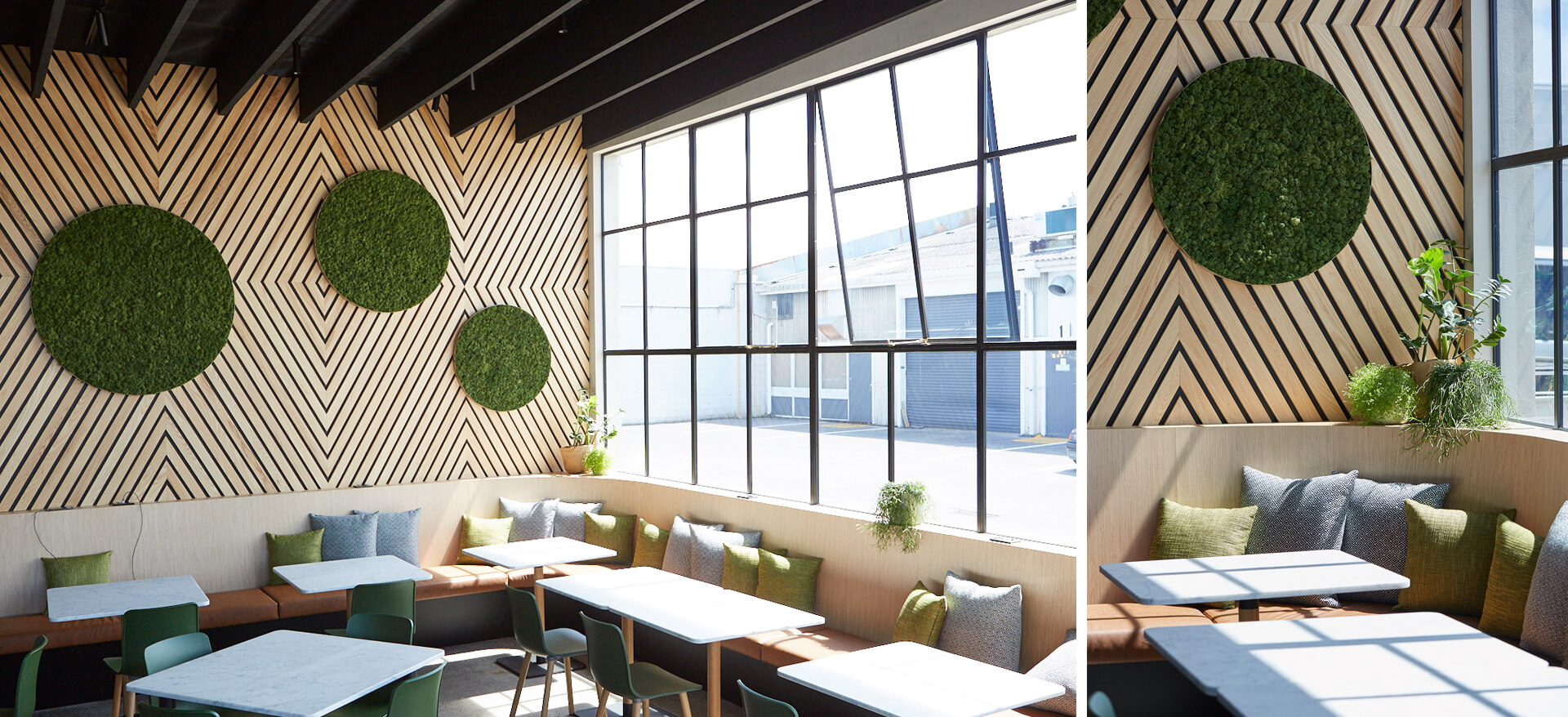 Domain Café, Auckland